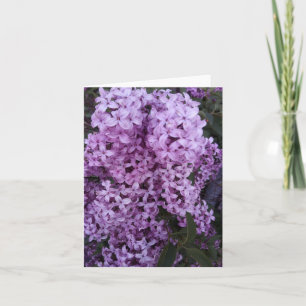 Tarjeta Fotografía de Flores de Lino Púrpura