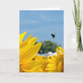 Tarjeta Fotografía de girasol abejorro en blanco
