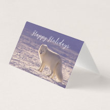 Fotografía de invierno de la nieve de Fox blanca