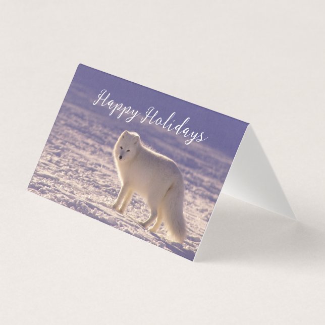 Tarjeta Fotografía de invierno de la nieve de Fox blanca (Anverso)