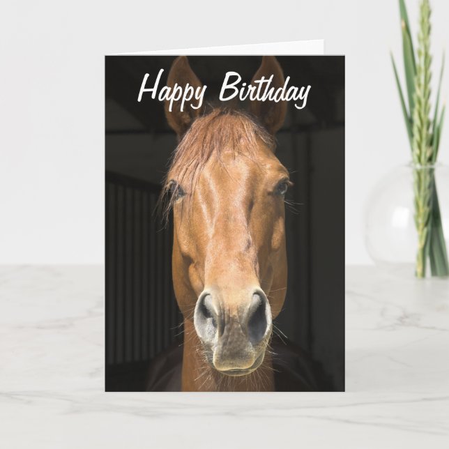 Tarjeta Fotografía de la cara del caballo Feliz cumpleaños (Anverso)