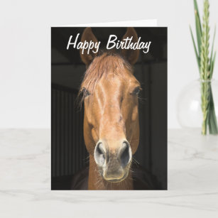 Tarjeta Fotografía de la cara del caballo Feliz cumpleaños