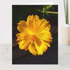 Tarjeta Fotografía de la macro Flor de Oro