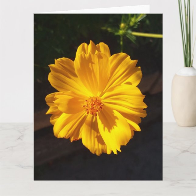 Tarjeta Fotografía de la macro Flor de Oro (Anverso)