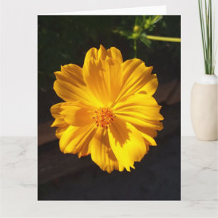 Tarjeta Fotografía de la macro Flor de Oro