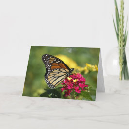 Tarjeta Fotografía de la naturaleza