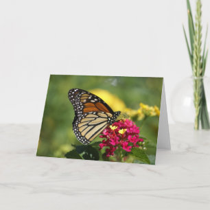 Tarjeta Fotografía de la naturaleza