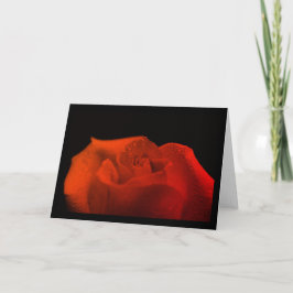 Tarjeta Fotografía de la naturaleza