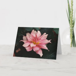 Tarjeta Fotografía de la naturaleza