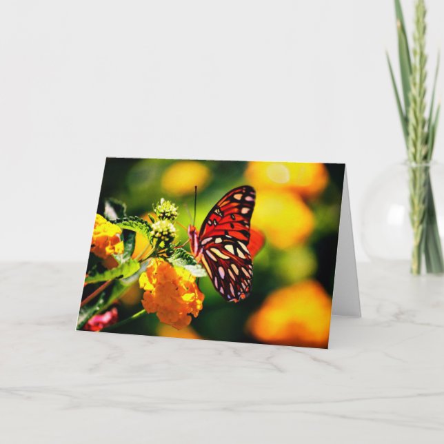 Tarjeta Fotografía de la naturaleza (Anverso)