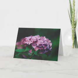 Tarjeta Fotografía de la naturaleza