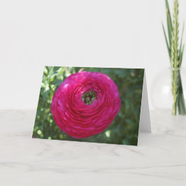 Tarjeta Fotografía de la naturaleza