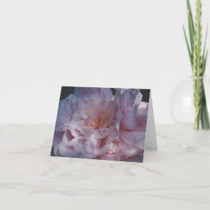 Tarjeta Fotografía de la naturaleza