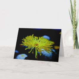 Tarjeta Fotografía de la naturaleza