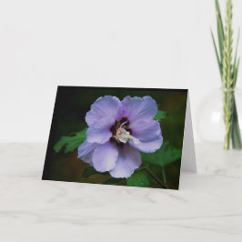 Tarjeta Fotografía de la naturaleza