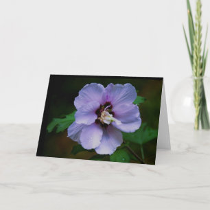 Tarjeta Fotografía de la naturaleza