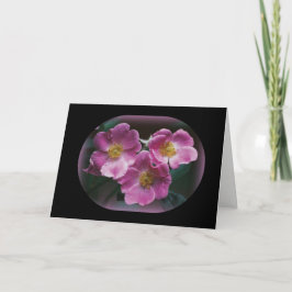 Tarjeta Fotografía de la naturaleza