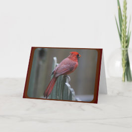 Tarjeta Fotografía de la naturaleza