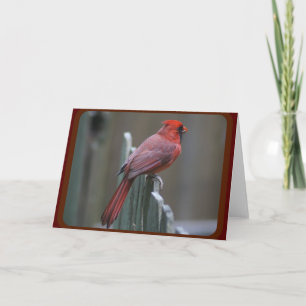 Tarjeta Fotografía de la naturaleza