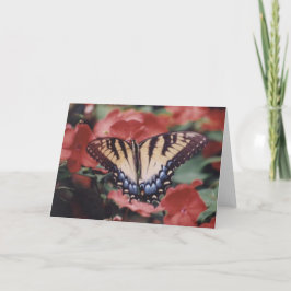 Tarjeta Fotografía de la naturaleza