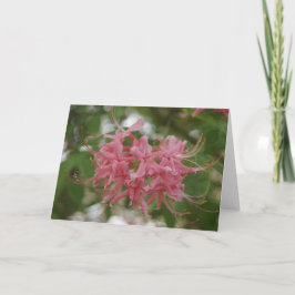 Tarjeta Fotografía de la naturaleza