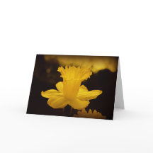 Fotografía de la naturaleza