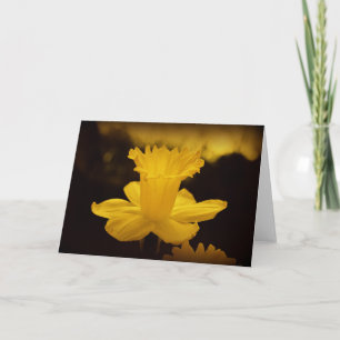 Tarjeta Fotografía de la naturaleza
