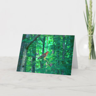 Tarjeta Fotografía de la naturaleza