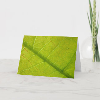 Tarjeta Fotografía de la naturaleza botánica de la hoja ve