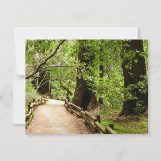 Tarjeta Fotografía de la Naturaleza de Camino II de Muir W