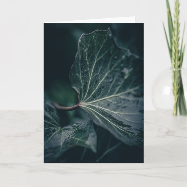 Tarjeta Fotografía de la naturaleza de la hoja de marfil o (Anverso)