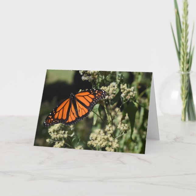 Tarjeta Fotografía de la naturaleza de la mariposa del mon (Anverso)