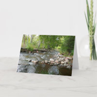Fotografía de la naturaleza del arroyo y los pavos
