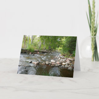Tarjeta Fotografía de la naturaleza del arroyo y los pavos