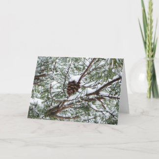 Tarjeta Fotografía de la naturaleza del invierno de Snowy 