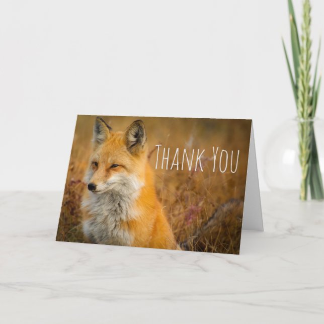 Tarjeta Fotografía de la naturaleza salvaje de Red Fox Cut (Anverso)