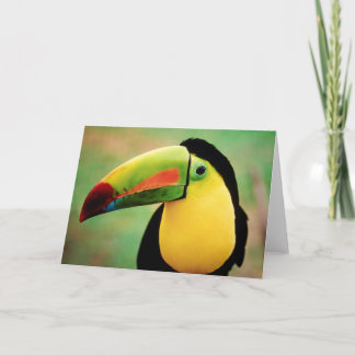 Tarjeta Fotografía de la naturaleza silvestre de pájaro de