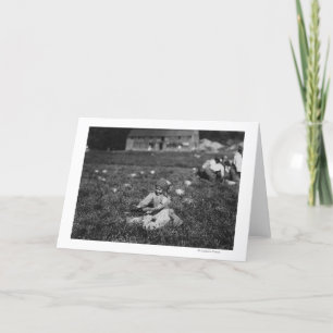 Tarjeta Fotografía de los arándanos de la cosecha de la