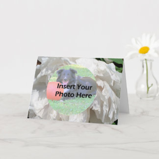 Tarjeta Fotografía de marco de pezones de flores de peón b