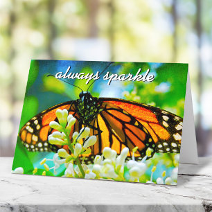 Tarjeta Fotografía de Mariposa Monarca Naranja Siempre Bri