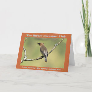 Tarjeta Fotografía de Naturaleza Birder de Ampelis America
