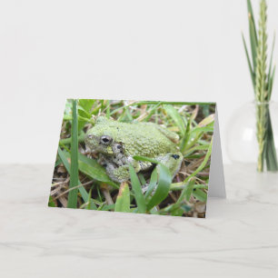 Tarjeta Fotografía de Naturaleza de la Rana Arbolícola Gri