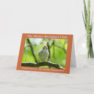 Tarjeta Fotografía de Naturaleza Gorrión Común Observador