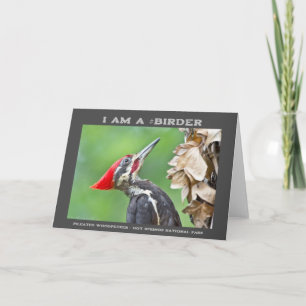Tarjeta Fotografía de Naturaleza Pájaro Carpintero Pilado