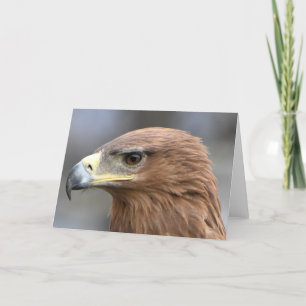 Tarjeta Fotografía de ojo de águila