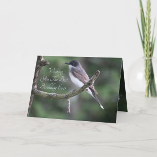 Tarjeta Fotografía de pájaro gris