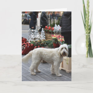 Tarjeta Fotografía de perro en Sloane Square Londres Navid