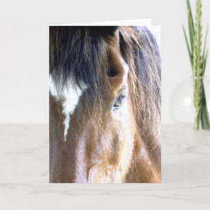 Tarjeta Fotografía de primer plano de la cara de caballo d