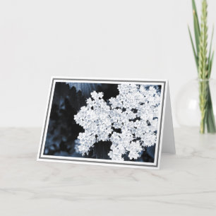 Tarjeta Fotografía de primer plano de las flores de viburn