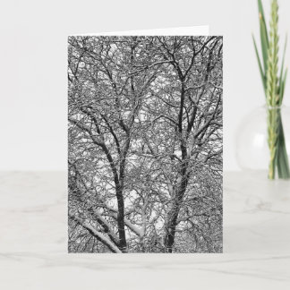 Tarjeta Fotografía de ramas de árbol con nieve de invierno